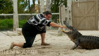 The Seminole Tribe Perfected Alligator Wrestling | The New Yorker Documentary