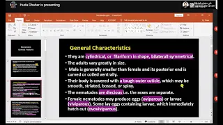 Parasitology / Nematodes / lecture 2