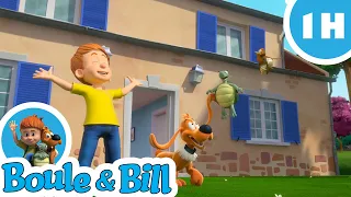 🧑Boule et Bill ont plein d'amis 🏃‍♂️ - Nouvelle compilation Boule et Bill FR