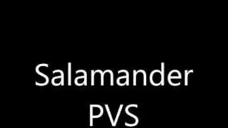 Aleksander Salamander - PVS