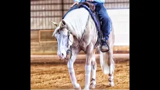 Dunit With An Iceman - hip no. 104 NRHA Futurity sale