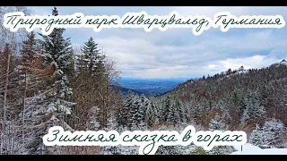 В поисках снега/Природный парк Шварцвальд, Германия/Schwarzwald