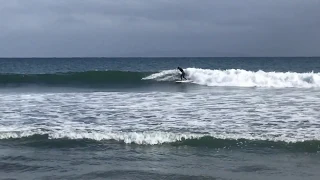 Surfing 3rd Point Malibu Storm Swell [3/2020]