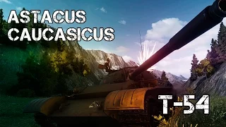 Разбор боя Т-54  - Перевал / GustikPS