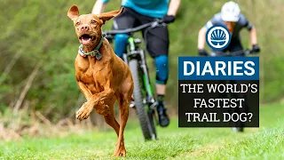 Racing The World's Fastest Trail Dog | Joe & Jack Take on Ruby the Vizsla | BikeRadar Diaries Ep12