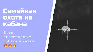 Охота на кабана с вышки 2023