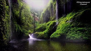 Relaxing music on the background of nature for sleeping, for stress relief, for meditation