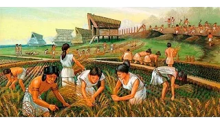 Historia y origen de la Agricultura - TvAgro por Juan Gonzalo Angel