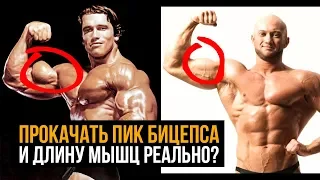 КАК НАКАЧАТЬ ПИК БИЦЕПСА и УВЕЛИЧИТЬ ДЛИНУ МЫШЦЫ?