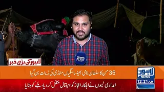 Big News! | 12:00 AM Bulletin | 28 June 2023 | Lahore News HD