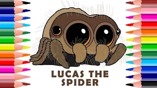 Drawing And Coloring Lucas The Cutest Spider