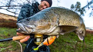 Murray Cod fishing, the new colour is getting some attention.