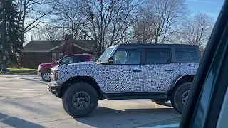 BRONCO RAPTOR SPOTTED SIDE SHOT