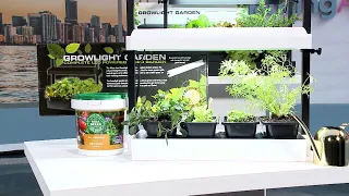 Eco-Friendly Gardening Solutions for Indoor Year-Round Gardening