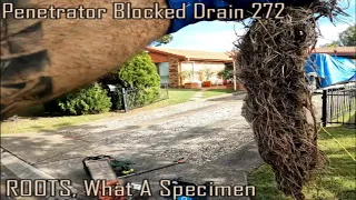 Blocked Drain 272 - Double Blockage | Kitchen Fat | Storm Water | Tree Roots