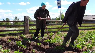 Ручной окучник для картофеля.  Маша рулит!