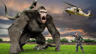 BEST of Dinosaur Attack 2023 | King Kong Vs T-Rex | Jurassic World 3 Fan-Made Film | Teddy Chase