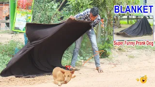 Wow !! Best Prank Super Huge Blanket Prank on Dog Very Funny Prank Must Watch