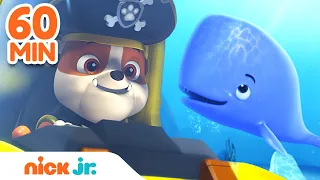 PAW Patrol Ultimate Water Rescues! 🐳 w/ Rubble, Zuma & Skye | 60 Minute Compilation | Nick Jr.