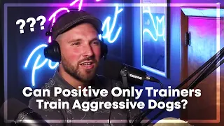 Show Us How You Would Train An Aggressive Dog! (Zak George Review)