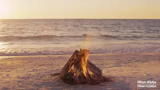 8-hour Florida Yule Log in HD, the Best 1080p Holiday Fireplace on the Beach!