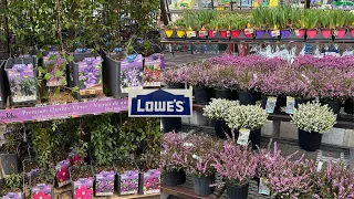 NEW ARRIVALS Shop with me at LOWES GARDEN CENTER for your Spring Garden