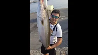 Shore Jigging in Spring 2018, the first great Amberjack (full uncut video+live strike)