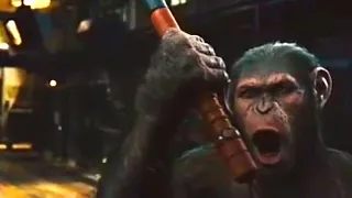 César Tira Os Chimpanzés Da Gaiola | Planeta dos Macacos: A Origem (2011) DUBLADO HD