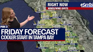 Tampa weather | cold front leaves cooler morning on March 29, 2024