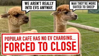 Alpaca Meadows Update... Forced to CLOSE due to NO EV CHARGING…?! Sort of.