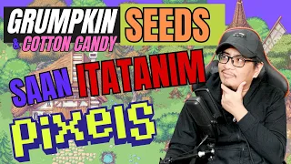 PIXELS NFT ORANGE GRUMPKINS AND COTTON CANDY SEEDS SAAN ITATANIM