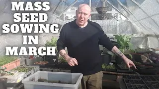 Mass Seed Sowing In March [Gardening Allotment UK] [Grow Vegetables At Home ]