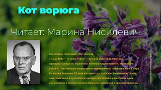 Паустовский  —  Кот ворюга | Читает: Нисилевич Марина