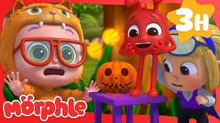 The Pumpkin Prince - Morphle's Halloween Special! 🎃 | Stories for Kids | Morphle Kids Cartoons