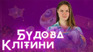 Підготовка до ЗНО з біології: Будова клітини людини. Які органели входять до складу клітини? / ZNOUA