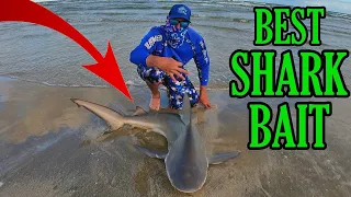 Best Bait For BIG Sharks | 3rd Coast Fishin Sharkathon S1 E1 | SHARK WEEK SPECIAL !!