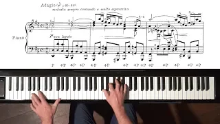 Bach “Air on the G String” (arr. Siloti) Paul Barton, FEURICH piano