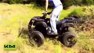 Tao Tao Rhino 250cc Utility ATV