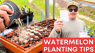 Grow Your Own Seedless Watermelons | 5 EASY TIPS!