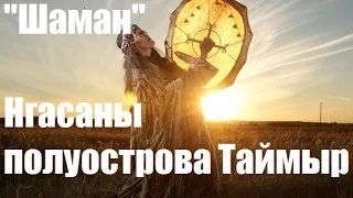 Шаман. Нгасаны полуострова Таймыр