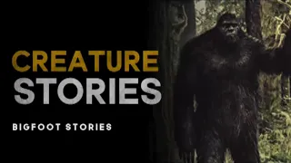 TOO HUMAN - 8 SCARY TRUE STORIES OF BIGFOOT SIGHTINGS - What Lurks Above