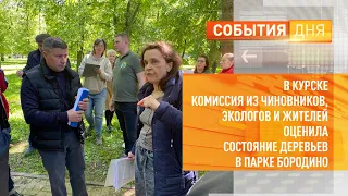 В Курске комиссия из чиновников, экологов и жителей оценила состояние деревьев в парке Бородино