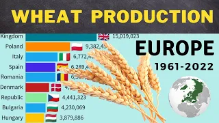 WHEAT Production In EUROPE by Country | 1961-2022 | The largest producers of Wheat in Europe