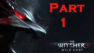 The Witcher 3 Wild Hunt Playthrough Part 1 PS4 No Commentary Gameplay