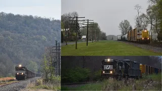 The Buffalo Line in Full Bloom