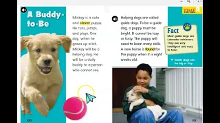From Puppy to Guide Dog Read Aloud
