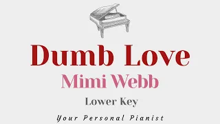 Dumb Love - Mimi Webb (LOWER Key Karaoke) - Instrumental Cover with Lyrics