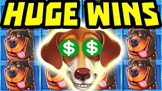 THE DOG HOUSE MEGAWAYS 🐶 IS BROKEN 😱 PREMIUMS WITH BIG MULTIPLIERS MEGA BIG WINS AND HUGE PROFIT‼️