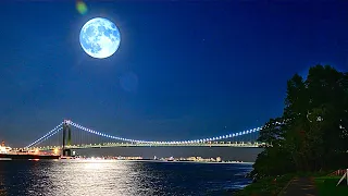 Relaxing Moonlight Sonata NYC Skyline Meditation | Beethoven Sonata #14 Ambient Piano Music HD 1080p