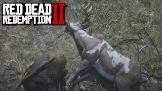 Red Dead Redemption 2 - How To Get Buck Antler Trinket [More Money For Animal Skins]